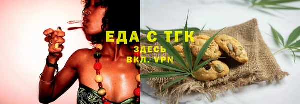 индика Армянск