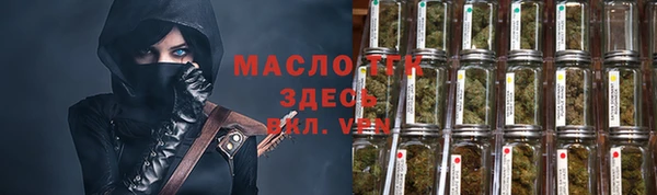 индика Армянск
