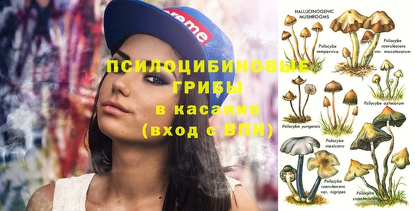 спиды Арсеньев