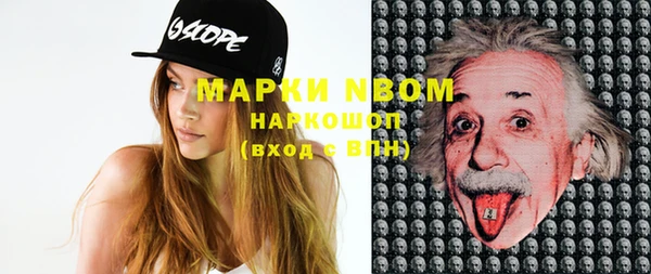 индика Армянск