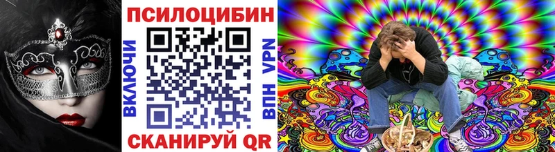 сколько стоит  Волчанск  Псилоцибиновые грибы GOLDEN TEACHER 